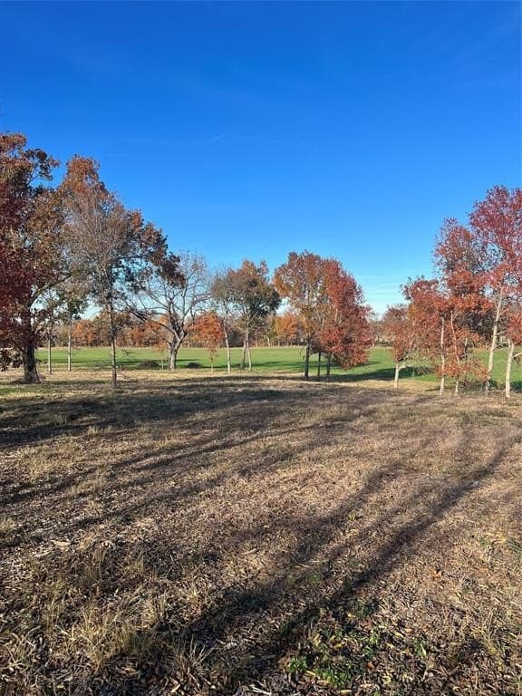 32.5 acres in Cooke County - photo 3