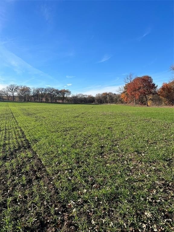 32.5 acres in Cooke County - photo 34