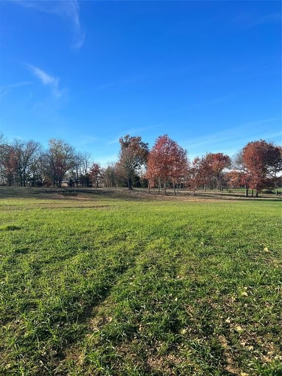 32.5 acres in Cooke County - photo 2