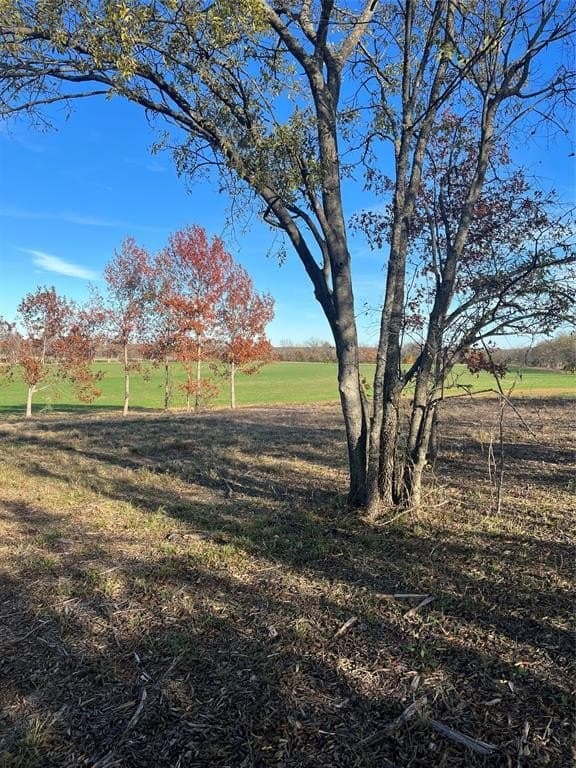32.5 acres in Cooke County - photo 15