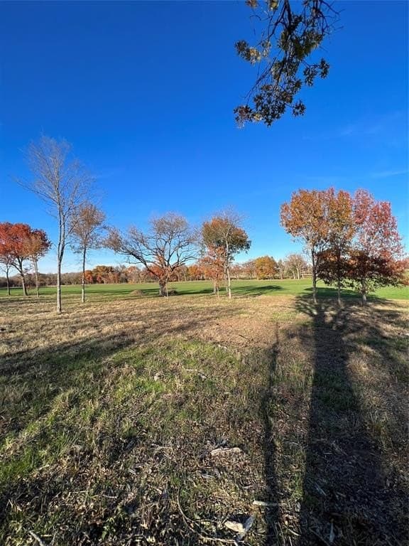 32.5 acres in Cooke County - photo 39