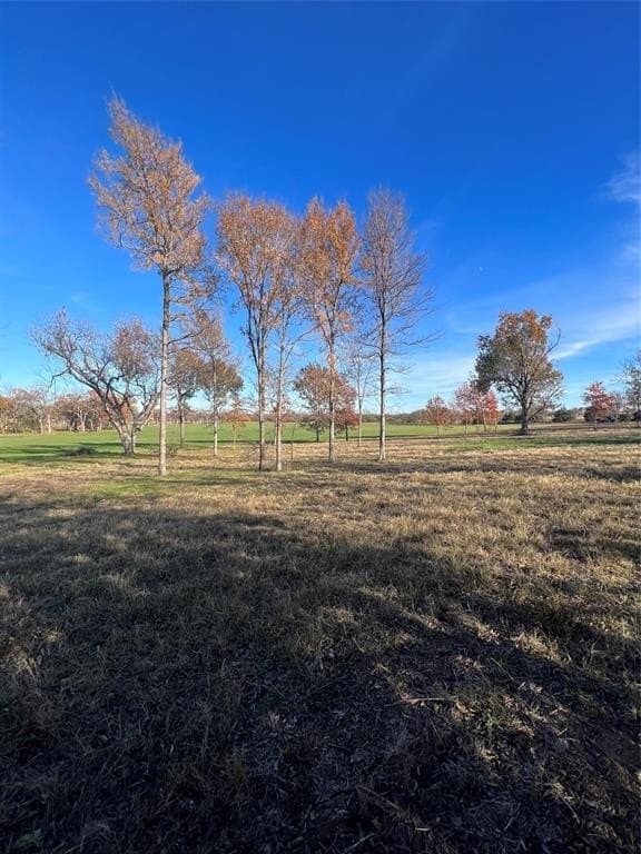 32.5 acres in Cooke County - photo 22