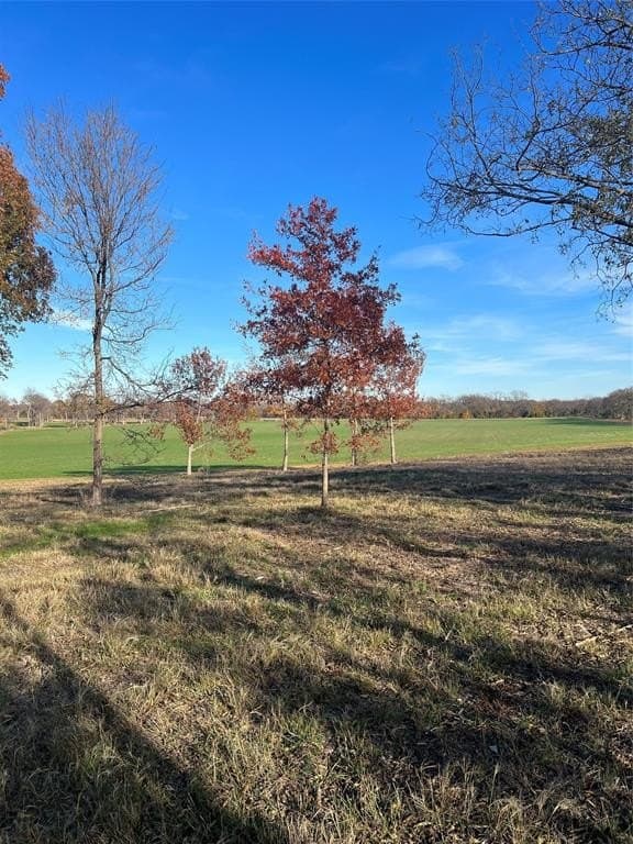32.5 acres in Cooke County - photo 16