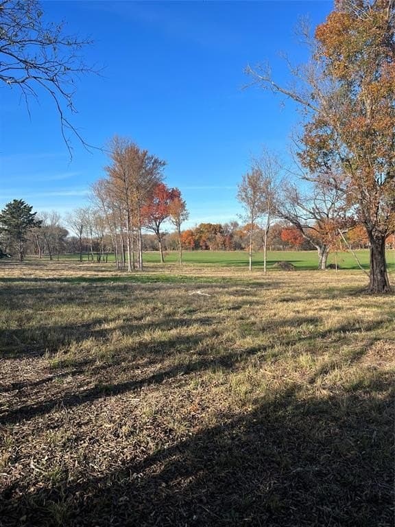 32.5 acres in Cooke County - photo 13