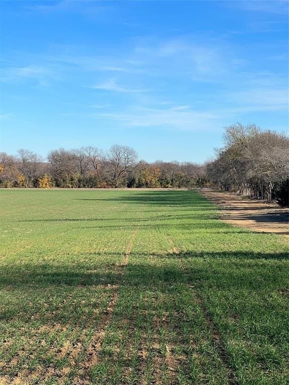 32.5 acres in Cooke County - photo 6