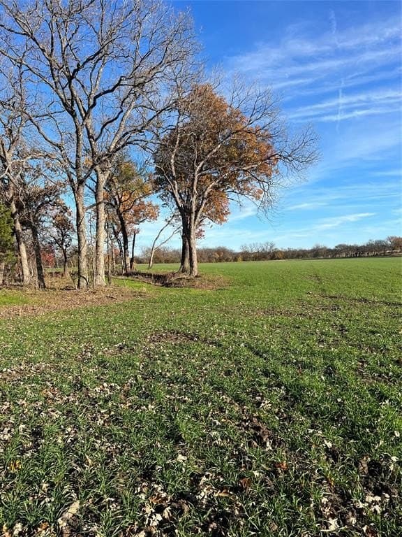 32.5 acres in Cooke County - photo 35