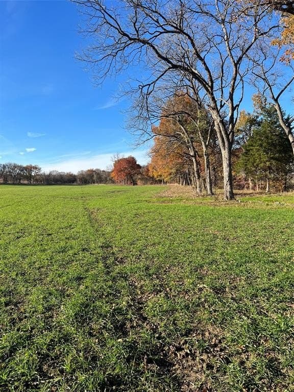 32.5 acres in Cooke County - photo 37