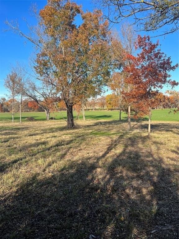 32.5 acres in Cooke County - photo 14