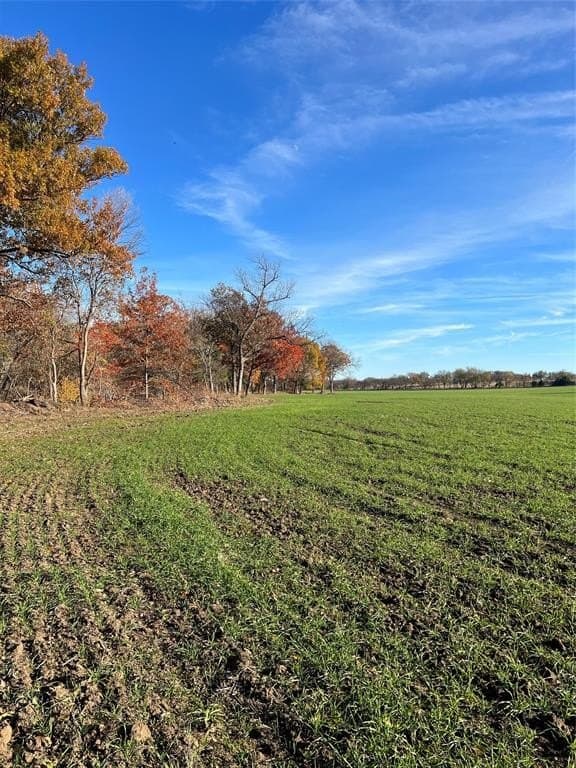 32.5 acres in Cooke County - photo 29