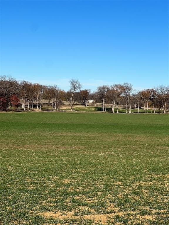 32.5 acres in Cooke County - photo 8