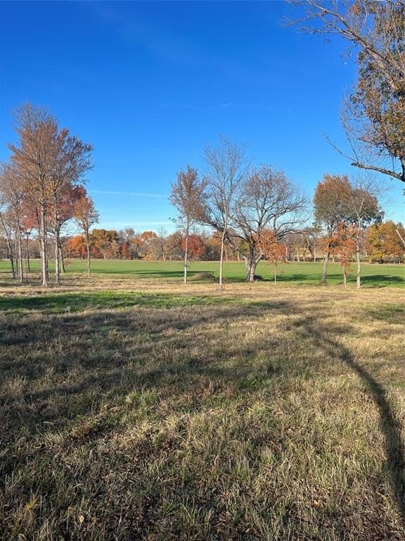 32.5 acres in Cooke County - photo 18