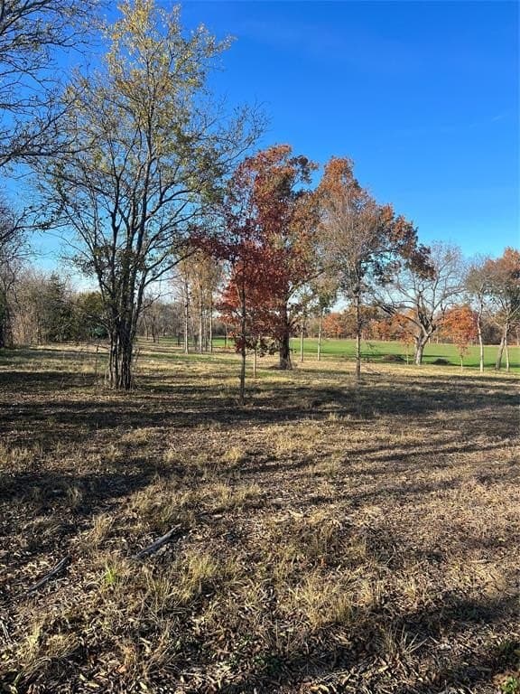 32.5 acres in Cooke County - photo 12