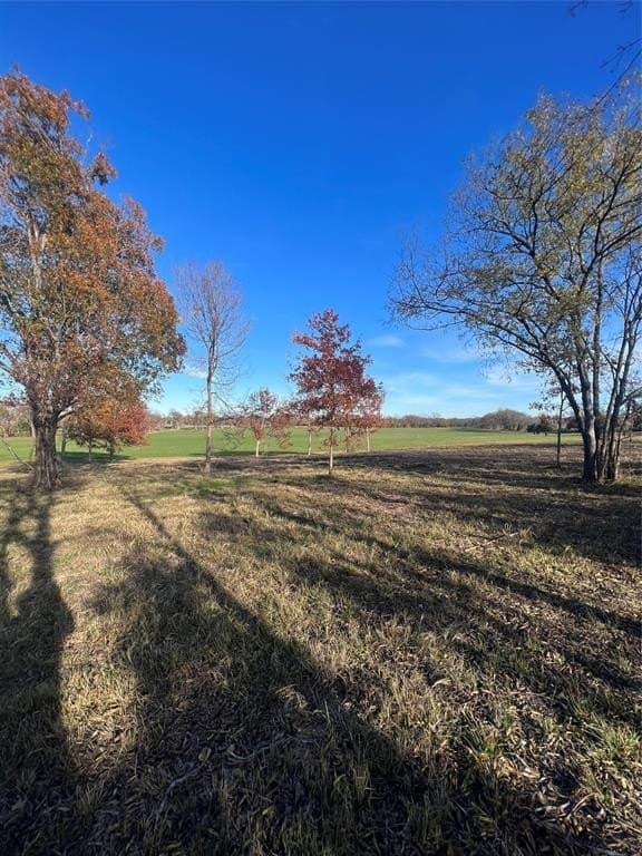 32.5 acres in Cooke County - photo 17
