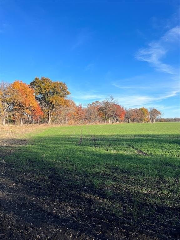 32.5 acres in Cooke County - photo 26