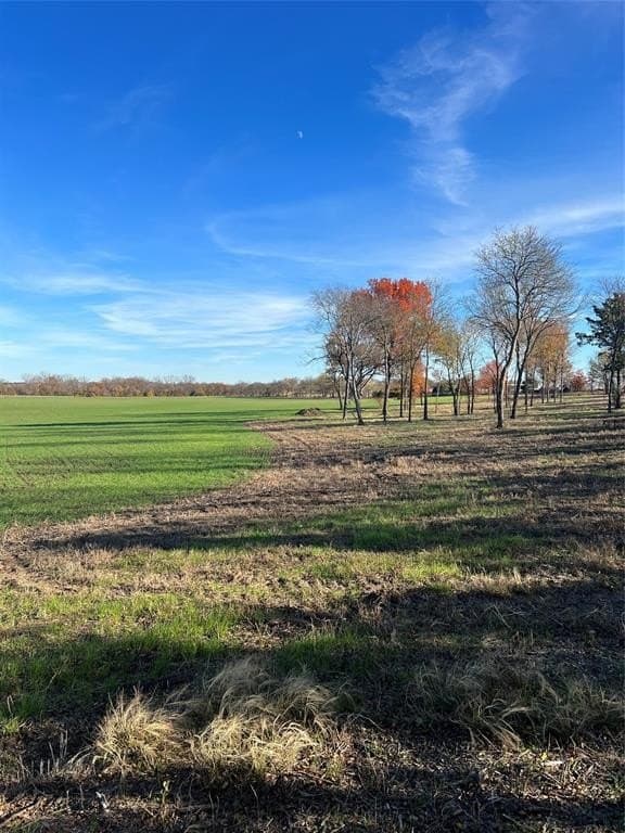 32.5 acres in Cooke County - photo 24