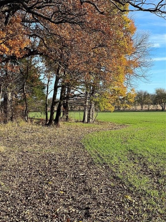 32.5 acres in Cooke County - photo 32
