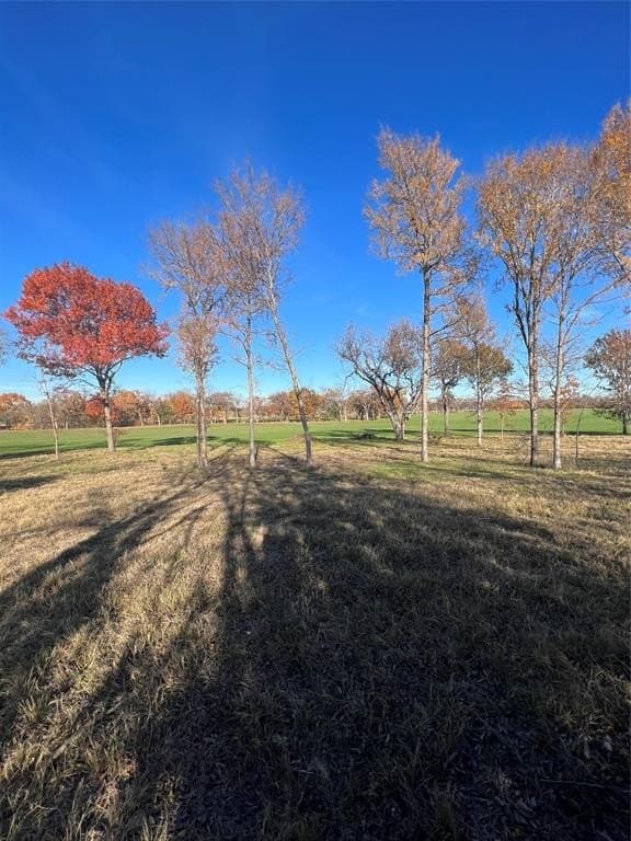 32.5 acres in Cooke County - photo 21
