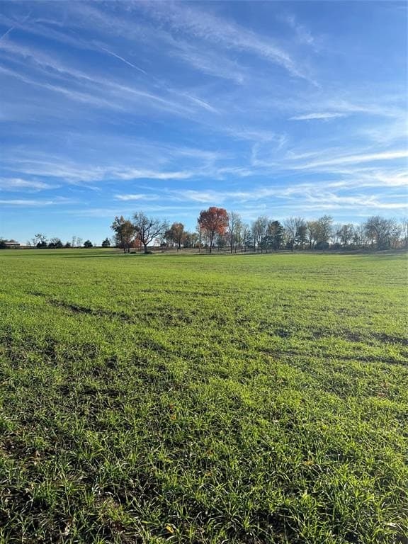32.5 acres in Cooke County - photo 4