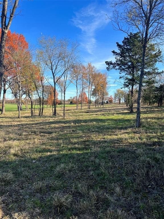 32.5 acres in Cooke County - photo 23