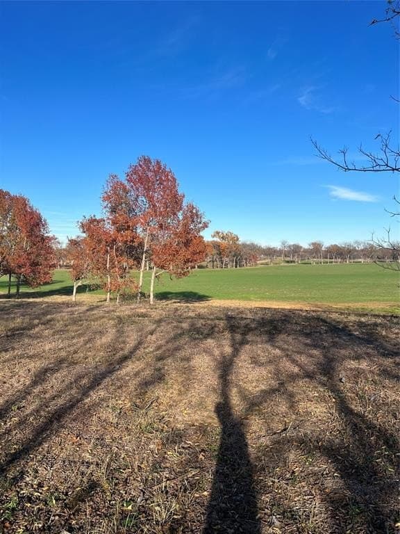 32.5 acres in Cooke County - photo 11