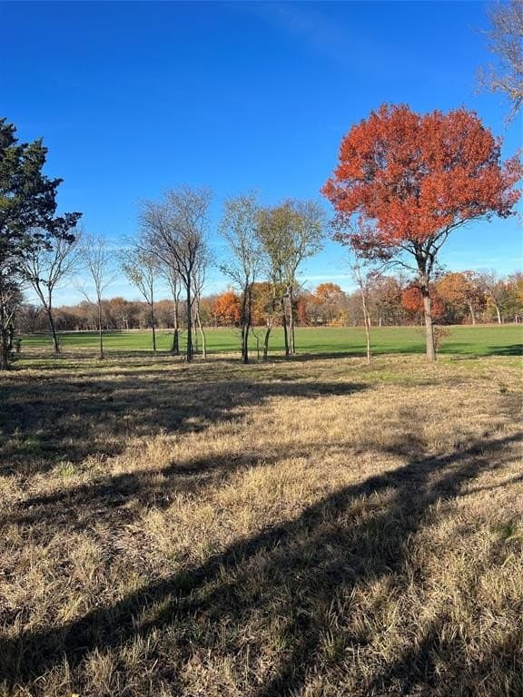 32.5 acres in Cooke County - photo 20