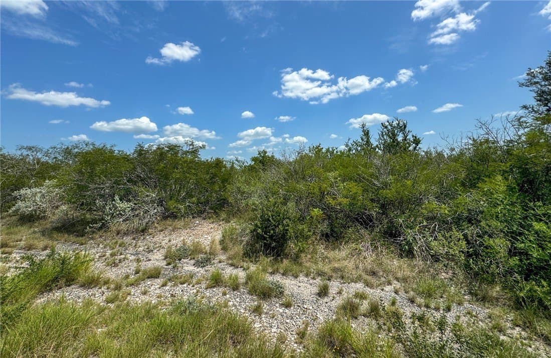1.5 acres in Live Oak County - photo 4