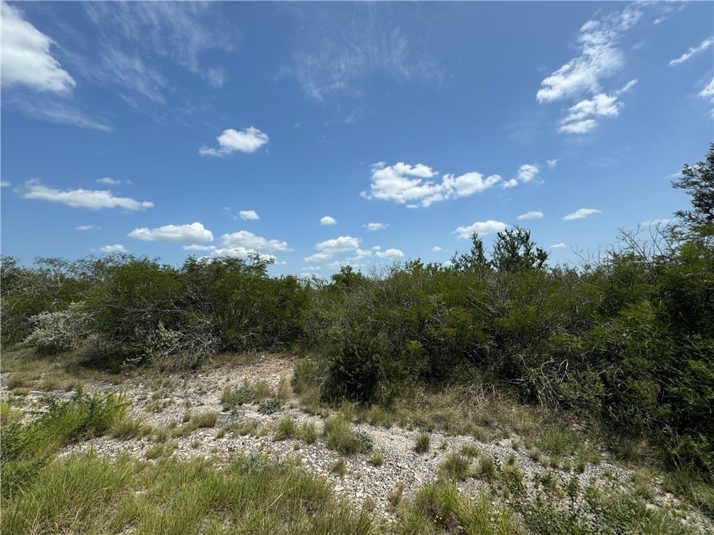 1.5 acres in Live Oak County - photo 3