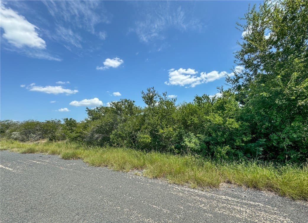 1.5 acres in Live Oak County - photo 2