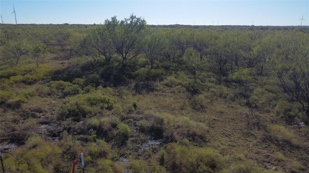 111.96 acres in Hill County - photo 7