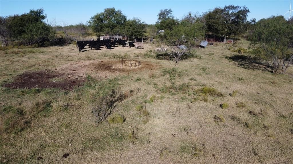111.96 acres in Hill County - photo 22