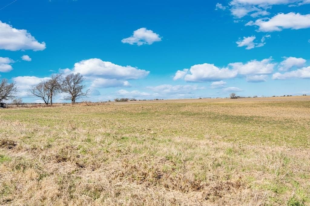 49.34 acres in Ellis County - photo 16