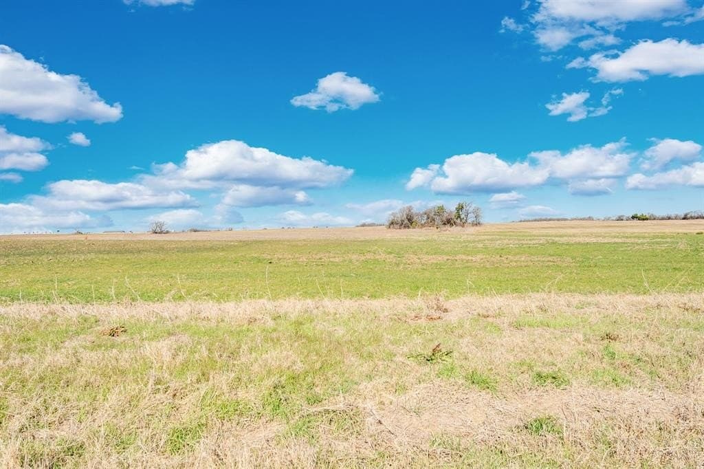 49.34 acres in Ellis County - photo 18