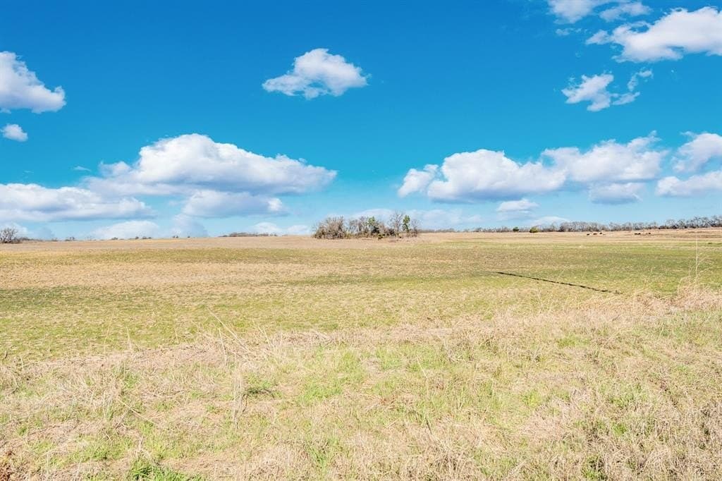 49.34 acres in Ellis County - photo 17