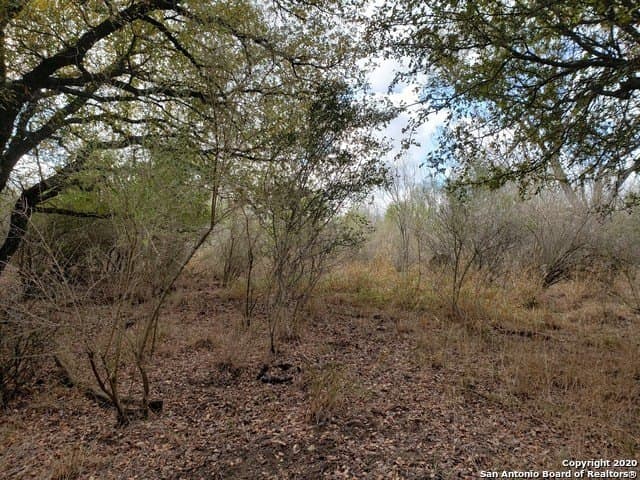20 acres in Medina County - photo 11
