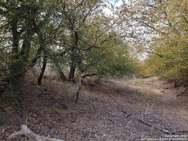 20 acres in Medina County - photo 7