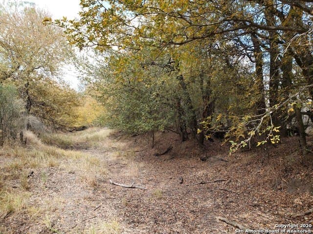 20 acres in Medina County - photo 13