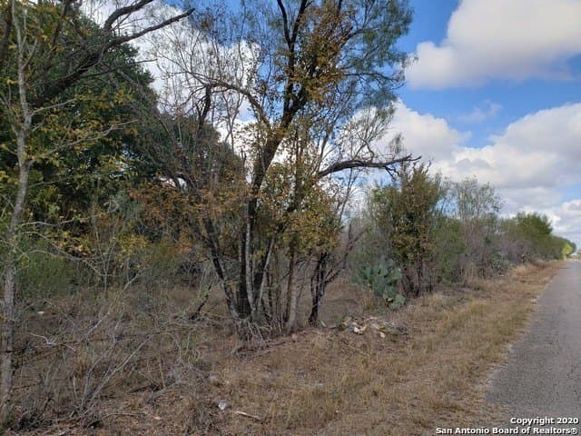 20 acres in Medina County - photo 3