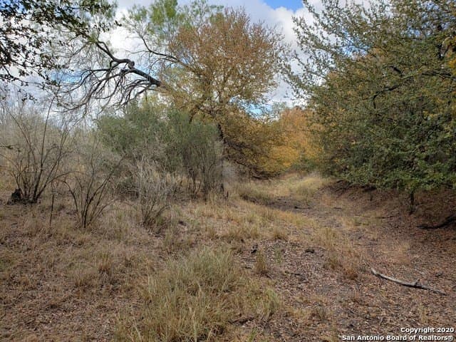 20 acres in Medina County - photo 10