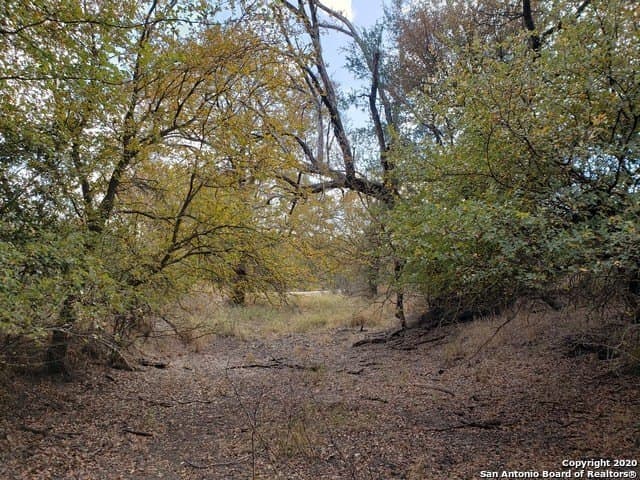 20 acres in Medina County - photo 12