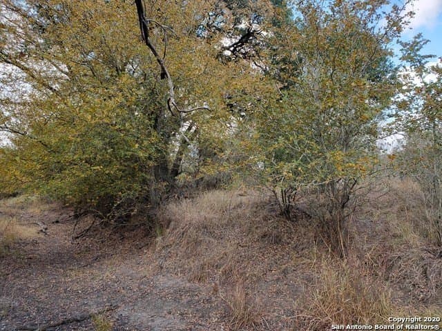 20 acres in Medina County - photo 8