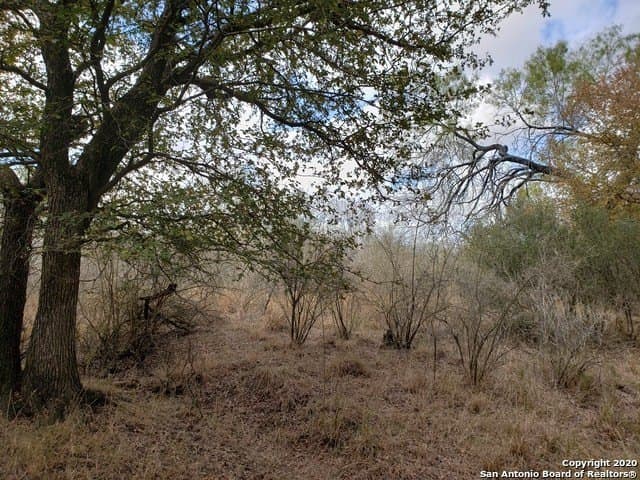 Lot 15 COUNTY ROAD 763