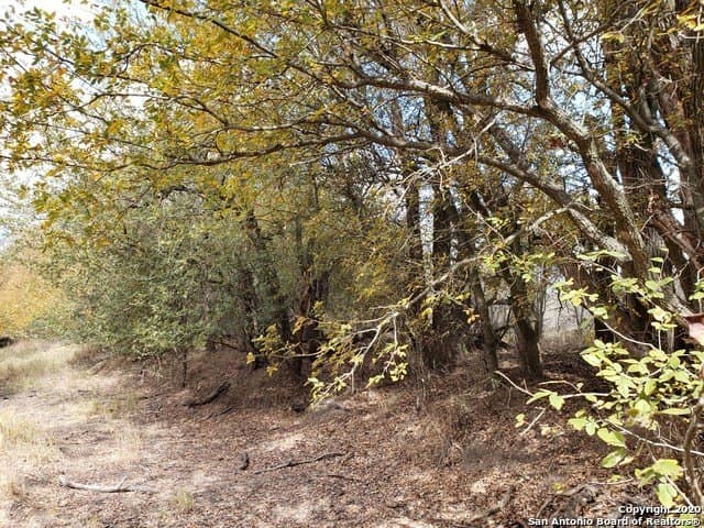 20 acres in Medina County - photo 14
