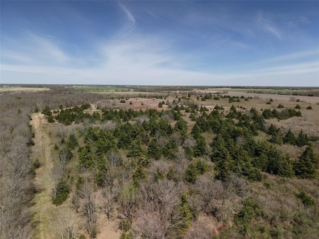 110.21 acres in Red River County - photo 29