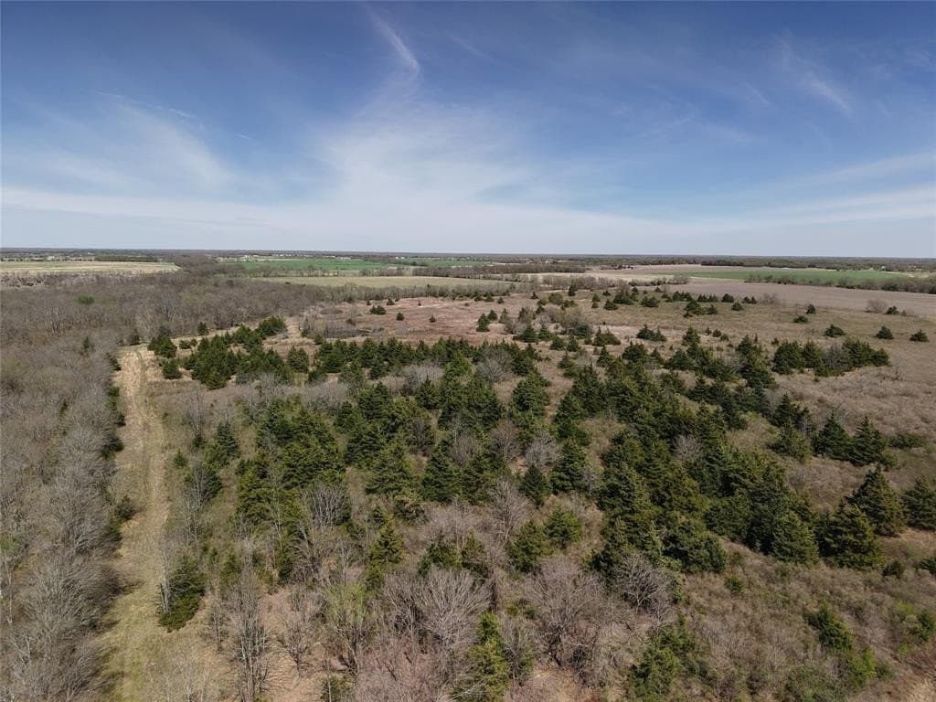 110.21 acres in Red River County - photo 25