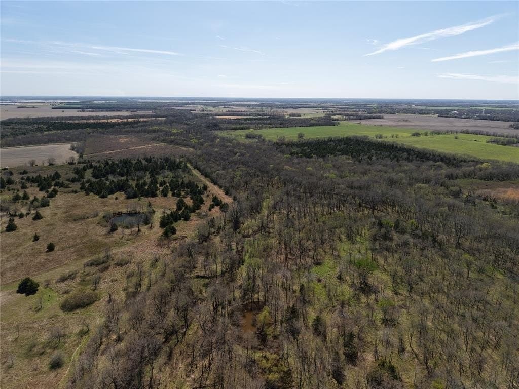 110.21 acres in Red River County - photo 22