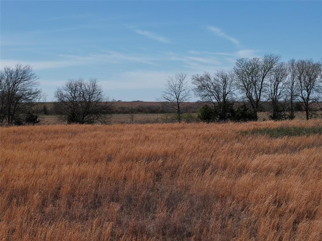 110.21 acres in Red River County - photo 13
