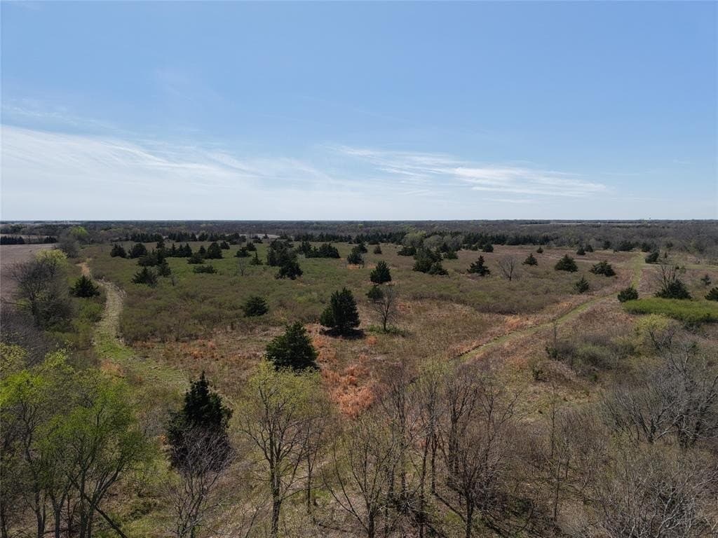 110.21 acres in Red River County - photo 5