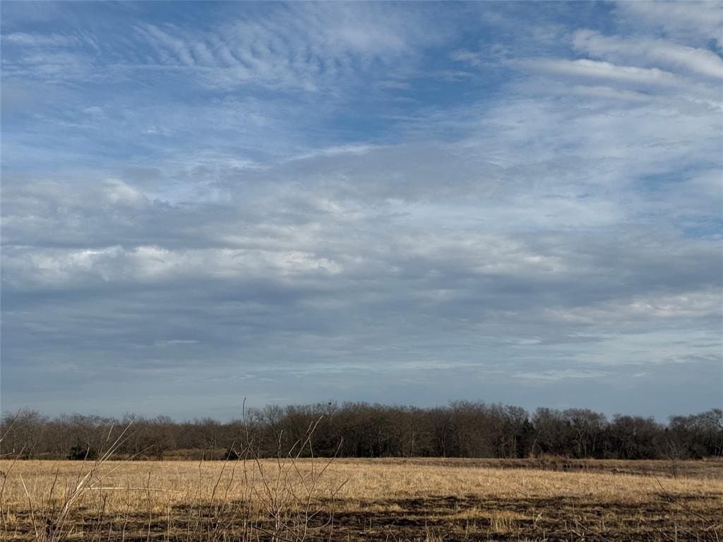 110.21 acres in Red River County - photo 4