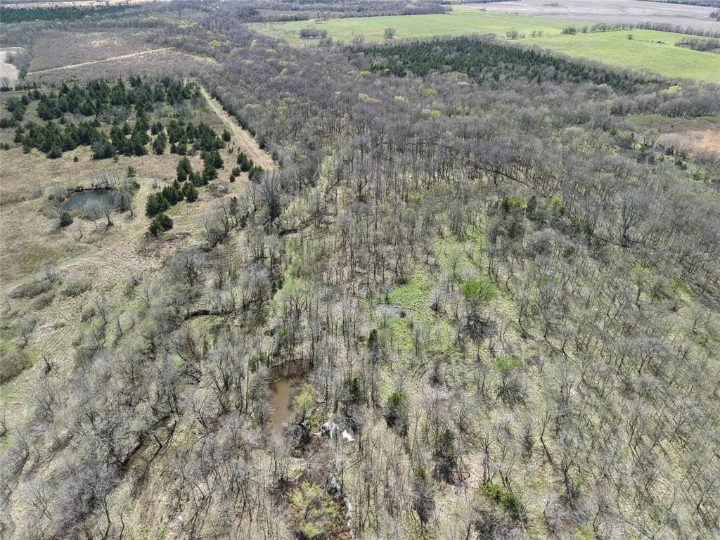 110.21 acres in Red River County - photo 17