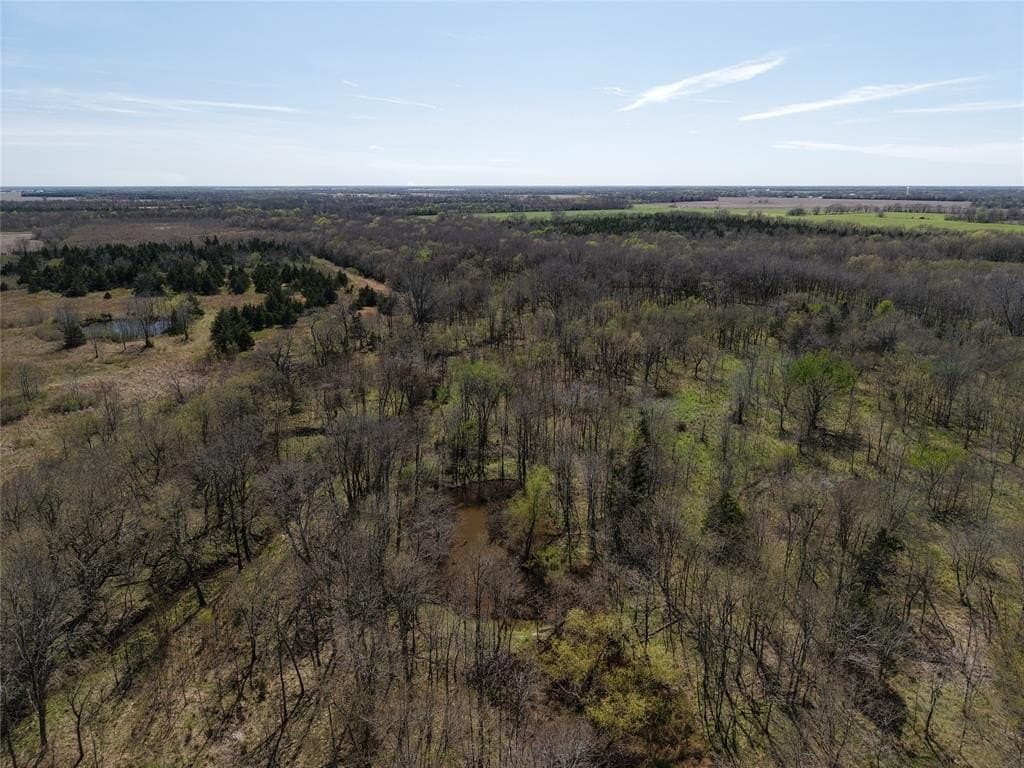 110.21 acres in Red River County - photo 10